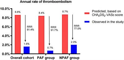 Left atrial appendage closure outcomes in relation to atrial fibrillation patterns: a comprehensive analysis